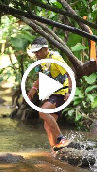 BIB:  <button type="button" onclick="openModal(27825492)" class="btn btn-primary btn-sm float-right" data-toggle="modal" data-target=".modal-high-quality">
                <i class="fa fa-download"></i> Download
                </button>